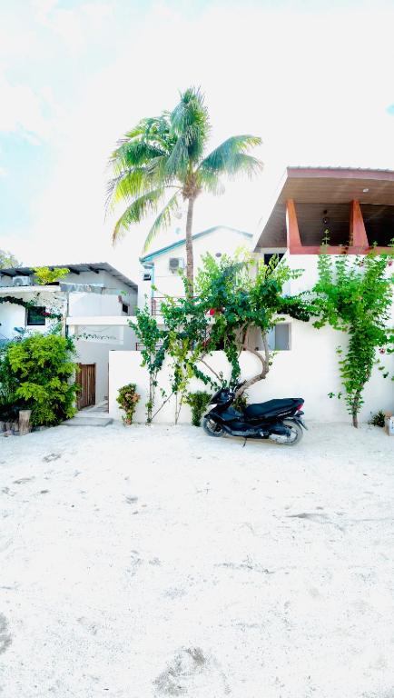 VelaaOlhu - Turtle Hive Thulusdhoo - View 43