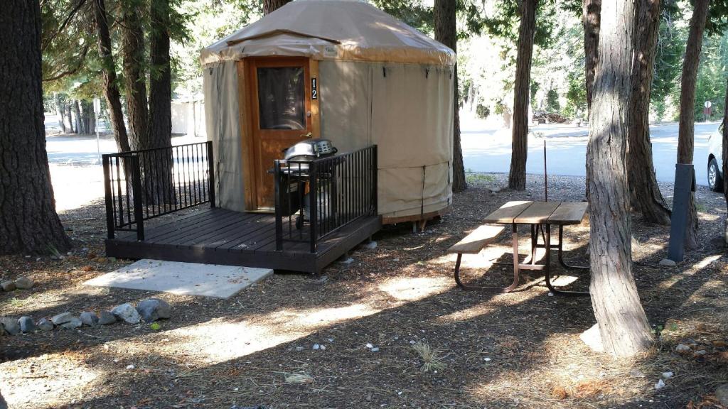 a yurt in a park with a bench and a table at Snowflower Camping Resort 12 ft. Yurt 9 in Emigrant Gap