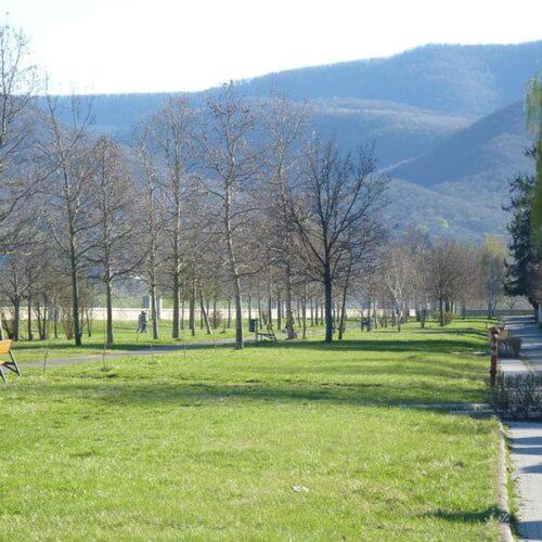 a park with trees and a bench in the grass at Vár-Lak Nagymaros in Nagymaros