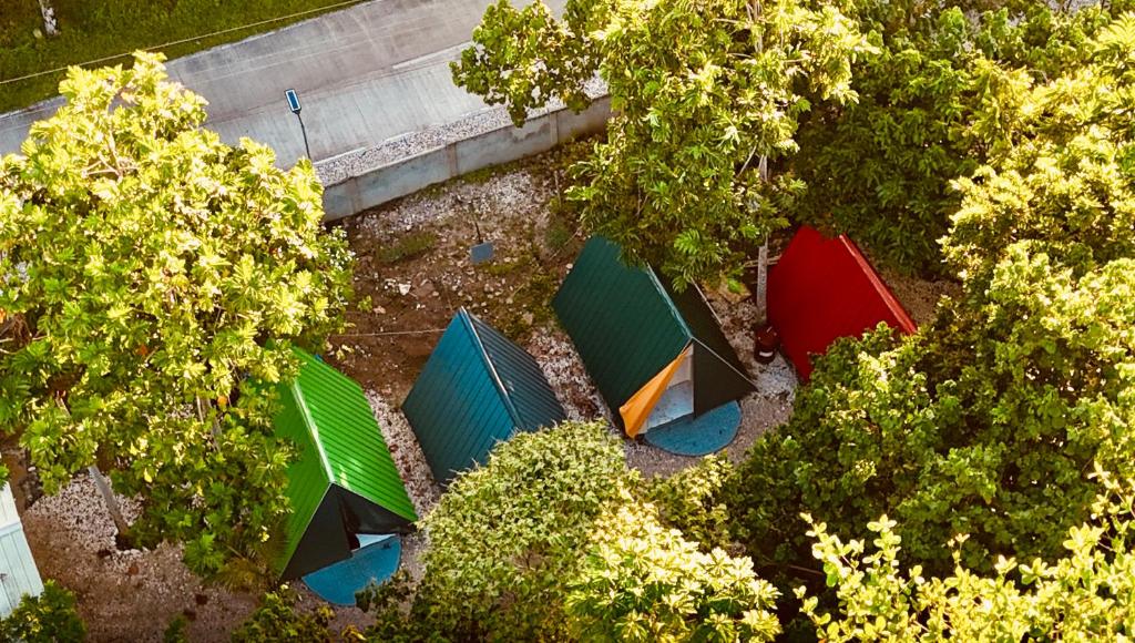 a group of umbrellas in a yard with trees at Fresh Beach Resort in Cateel