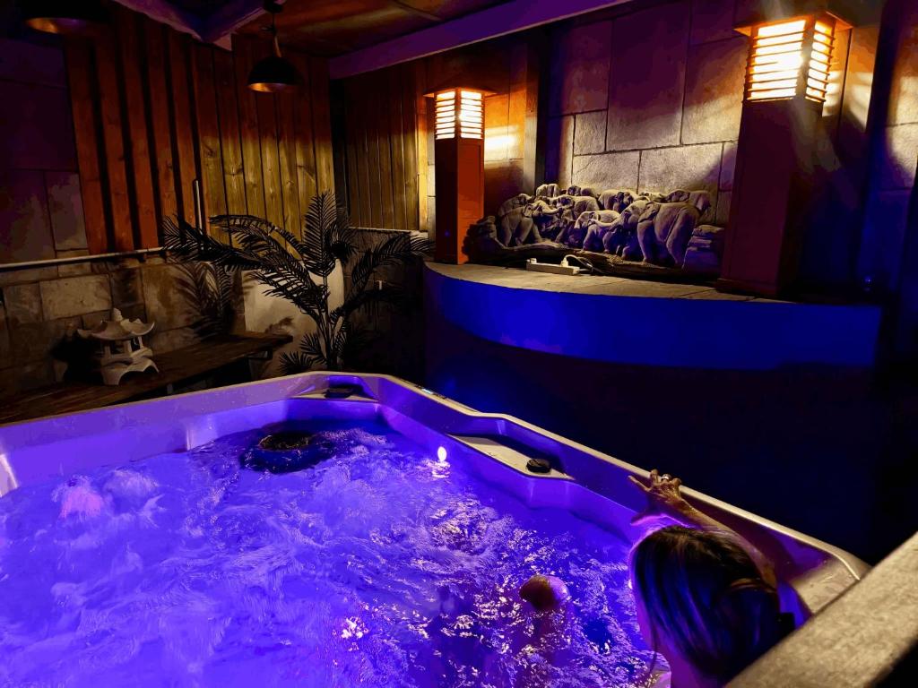 a jacuzzi tub with purple lighting in a room at Les suites du Bouddha Bleu in Carnac