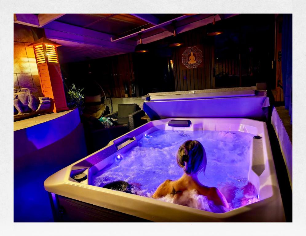 Les suites du Bouddha Bleu - One-Bedroom Apartment With Spa Bath