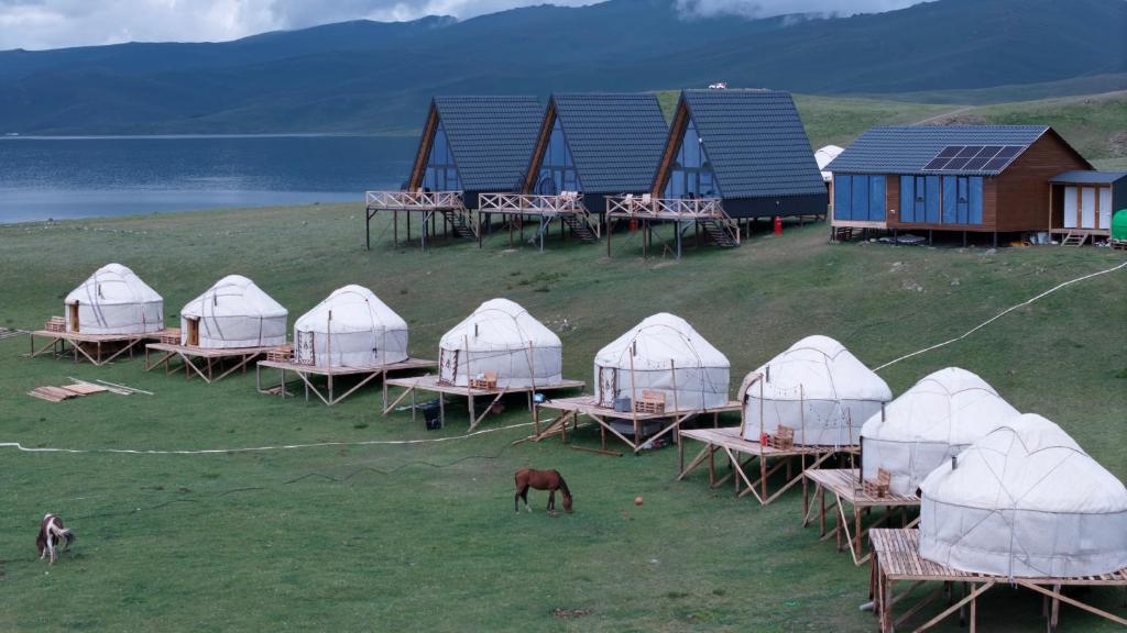 a group of tents and a horse in a field at Yurt Camp by Fly Service in Song-Kul