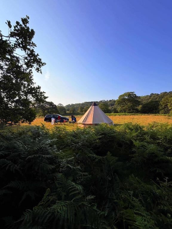 a tent in the middle of a field with grass at Wild Camping Teepee in Capel Curig