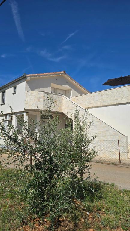 a white building with a bush in front of it at Studios Ilic in Seline