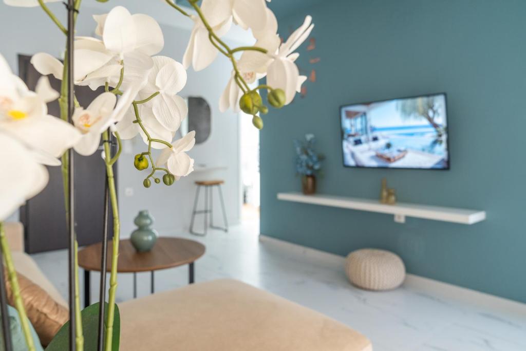 Tessera Alfa city apartment
