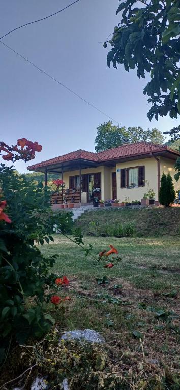 a house with a yard in front of it at Nature escape cottage in Cetinje