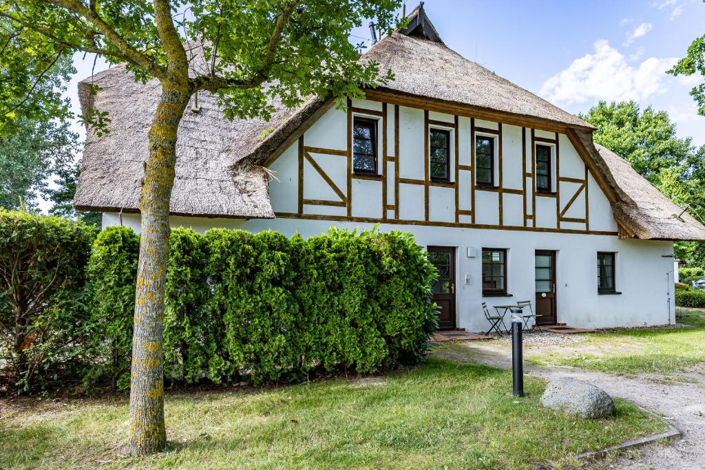 an old house with a thatched roof at Henriette in Ahrenshoop