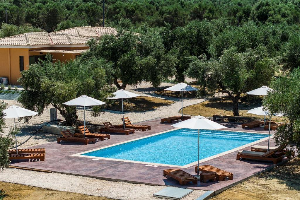 an overhead view of a swimming pool with chairs and umbrellas at Eleon Olive Retreat - Skourochori in Katakolo