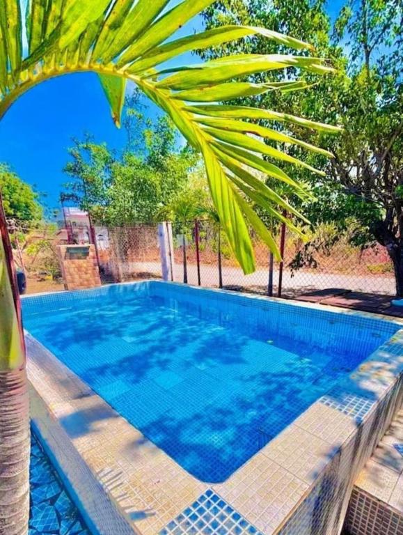a swimming pool with a palm tree next to it at Cabana Steps From The Beach - Pool & Beach Access in Nueva Gorgona