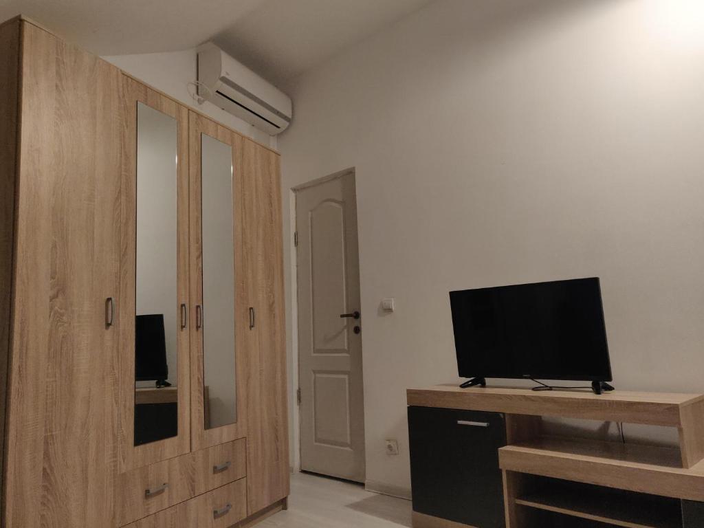 a living room with a television and a wooden door at Enjoy strudio apartment M in Murfatlar