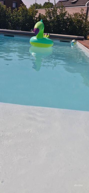 a green frisbee in a swimming pool at Chambre d'hôte Escale piscine in Ghislenghien
