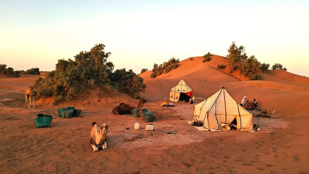 two tents in the middle of a desert at Caravane du bonheur in Mhamid