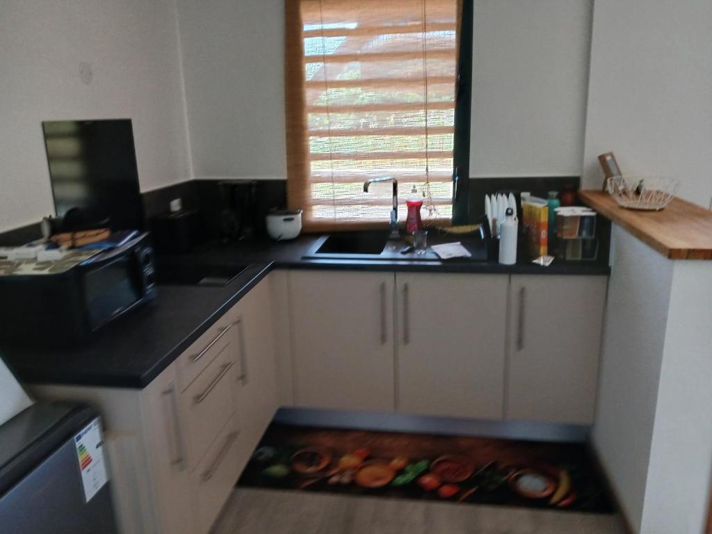 a kitchen with a sink and a drawer in the floor at La cabane au millieu du jardin in Saint-Louis