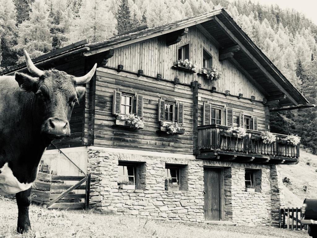 a cow standing in front of a building at Almhütte Gipper in Heiligenblut