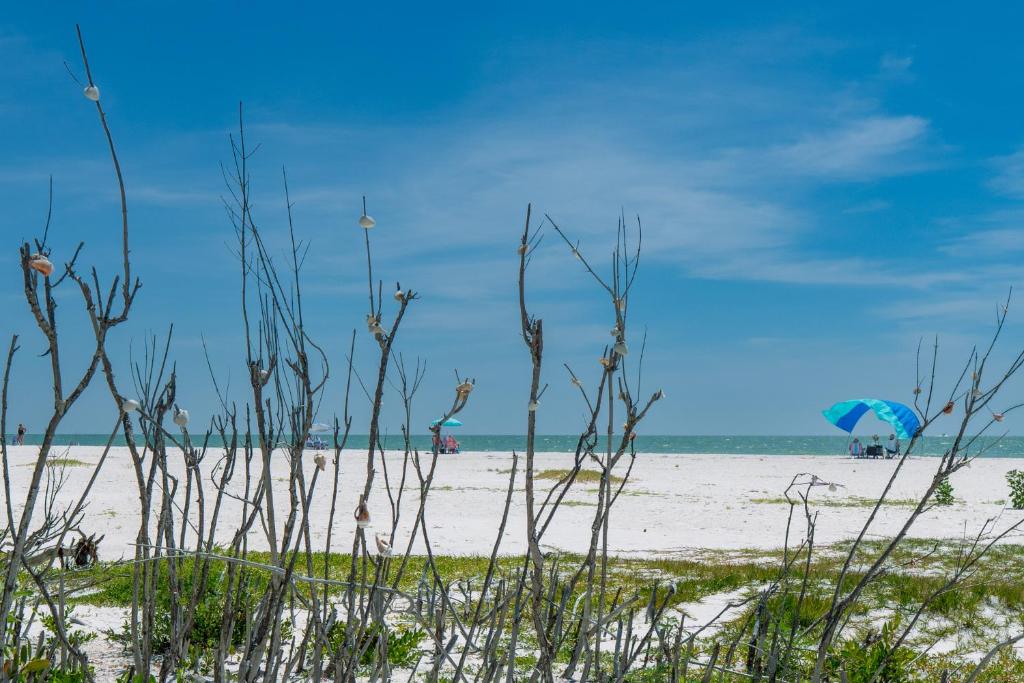 a beach with a blue umbrella and the ocean at Lovers Key #508 by Sun Palace Vacations in Fort Myers Beach