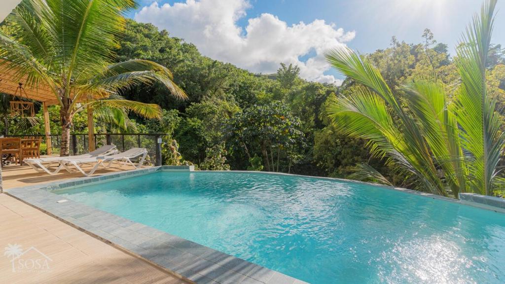 a swimming pool in the middle of a yard with trees at Villa Palacio Verde Las terrenas in Las Terrenas