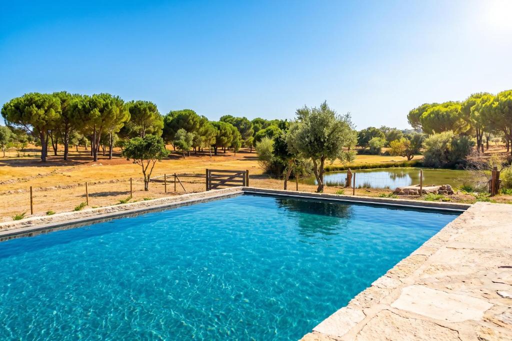 a swimming pool with blue water in a field at Kochab Alentejo in Crato