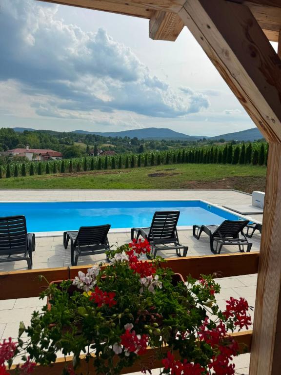 a view from a patio with chairs and a swimming pool at Plitvice House Lina in Rakovica