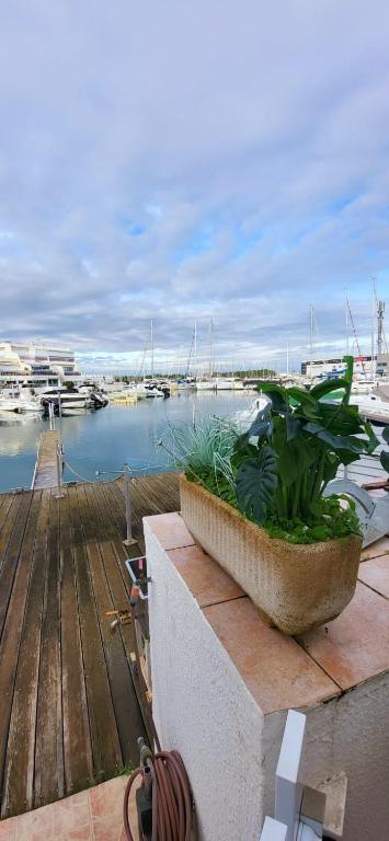 Marina avec vue sur les bateaux !
