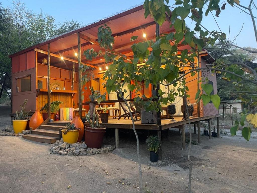 a house with a lot of plants in front of it at Terracotta River Hideaway in Maun