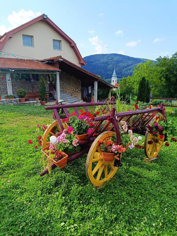 a wooden wagon with flowers in a yard at Vila Vali in Şuncuiuş