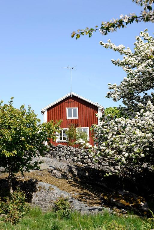 Zahrada ubytování Tjärö Hotell & Vandrarhem
