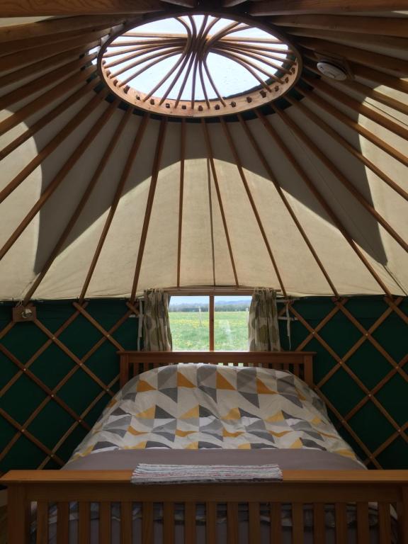 a bed in a yurt with a window at Yurt Ash tree in Saint Briavels