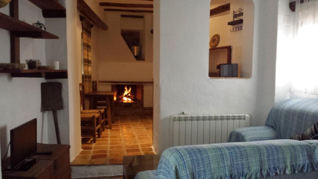 カソルラにあるAlojamiento rural La Casillaの暖炉付きのリビングルーム