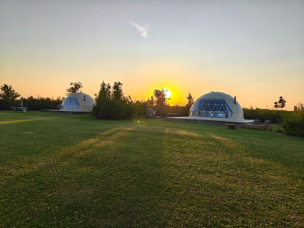 two domes in a field with the sunset in the background at Domein de Koekoeksvlooghe in Lo-Reninge