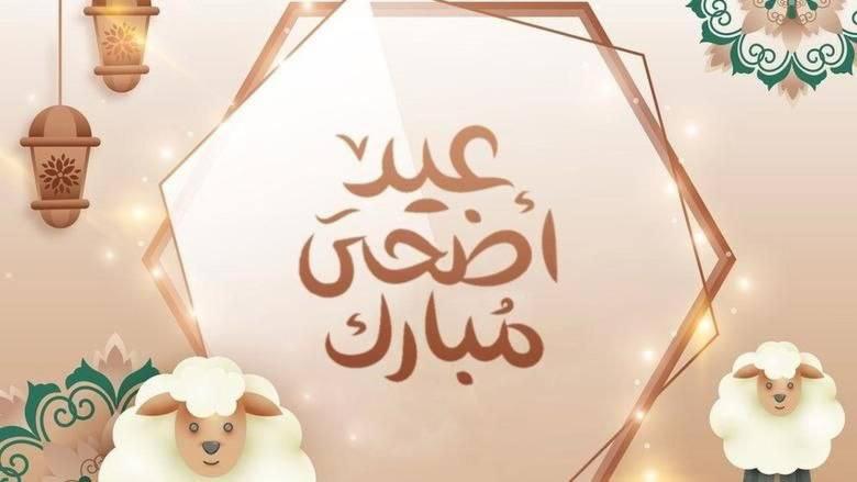 a sign with two sheep on a wall with a sign withjadavascript at اليمن in Ta‘izz