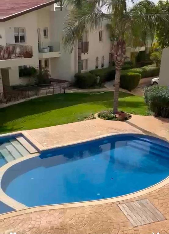 a large blue swimming pool in a yard with a palm tree at Oroklini by the pool in Oroklini