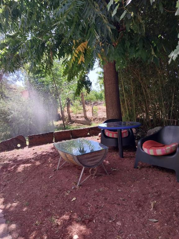 a fire pit and a chair under a tree at Ashpa apart in Cafayate