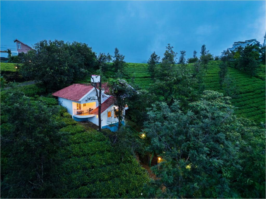 a house in the middle of a tea plantation at Falcon Crest in Vagamon