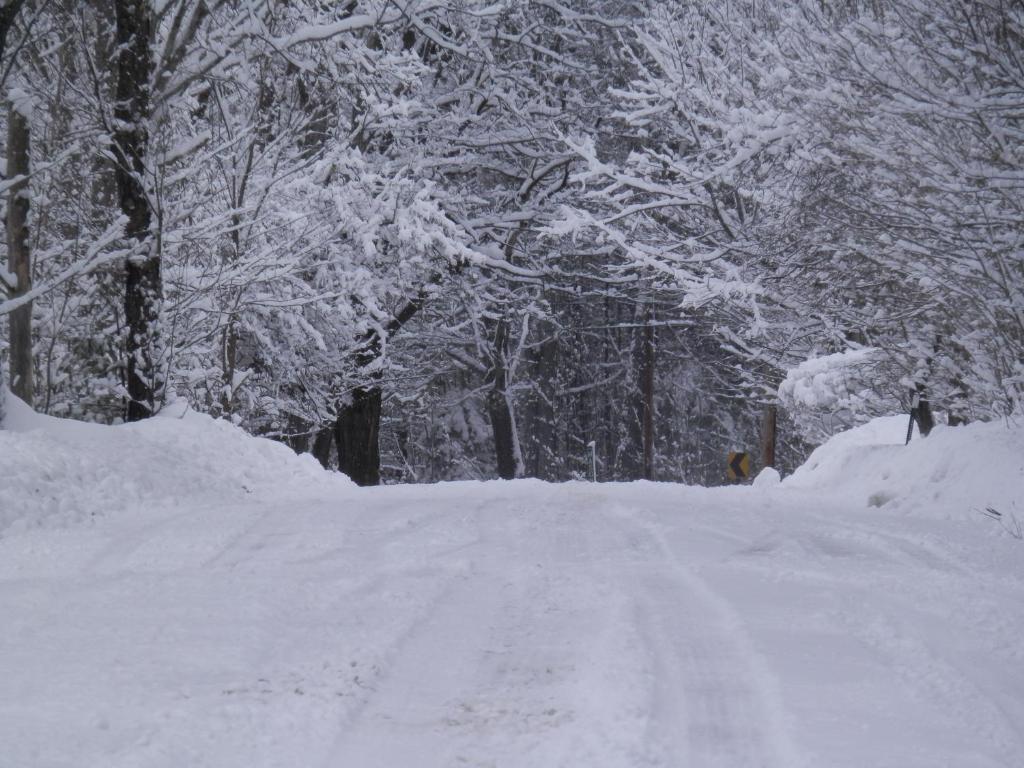 una carretera cubierta de nieve con árboles en el fondo en The Maples at Warner en Warner