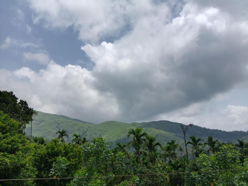 a view of auliculiculiculiculiculiculiculiculiculiculiculic at hill point stay in Kalasa