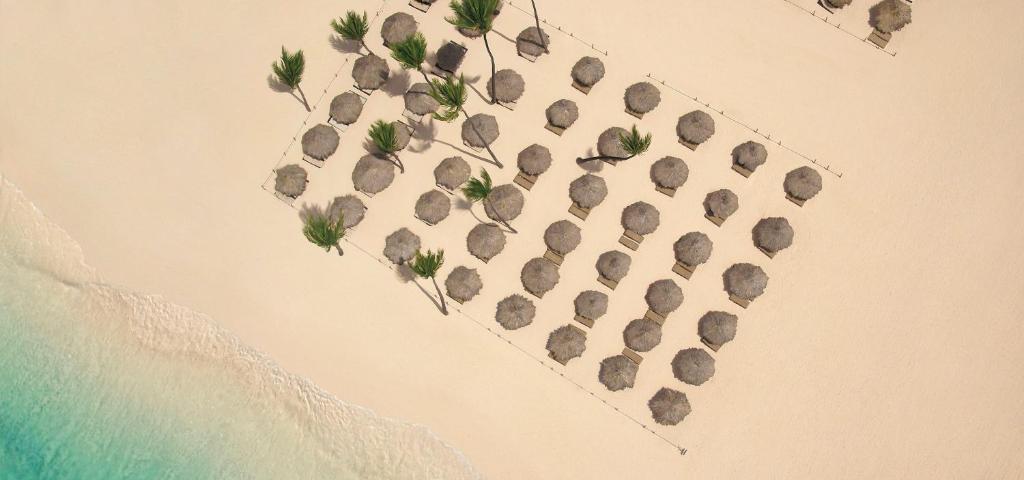 an overhead view of a group of plants on the beach at Paradisus by Meliá Grand Cana - All Suites - All Inclusive in Punta Cana