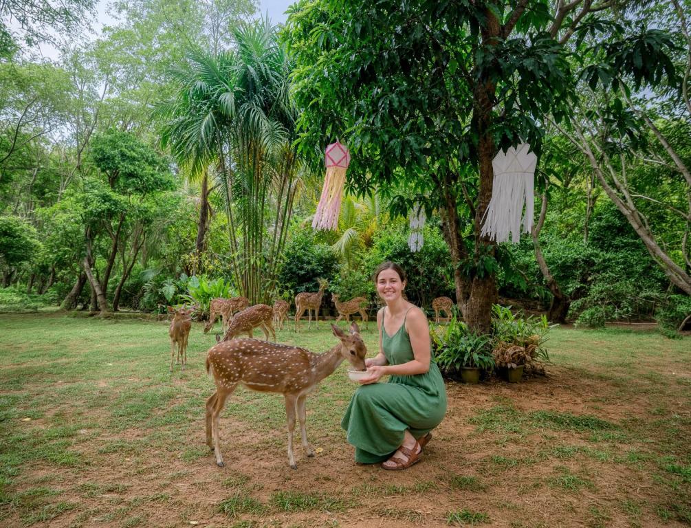 a woman in a green dress petting a deer at Deer Inn - Yala in Tissamaharama