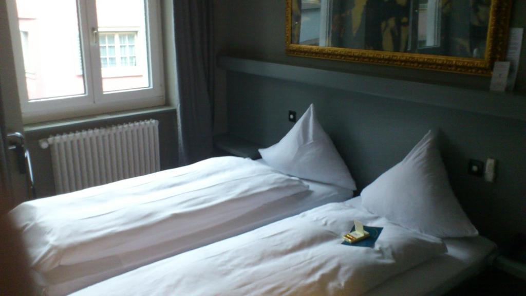 Hotel Limmatblick - Resim 13