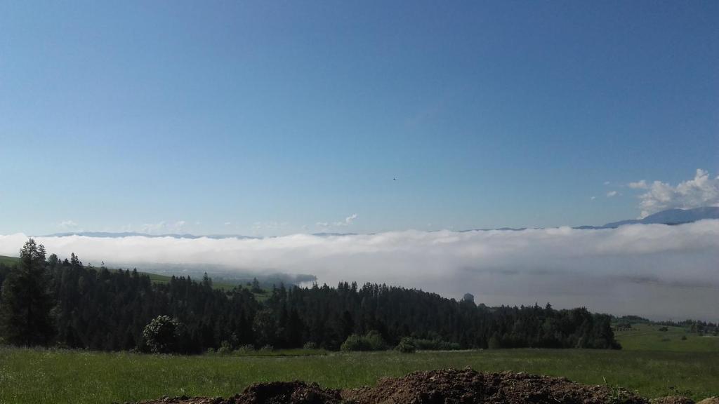 Príroda v okolí chaty v prírode