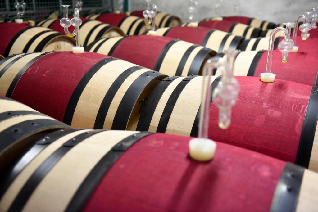 Fotografie z fotogalerie ubytování Weinhotel Koegler v destinaci Eltville