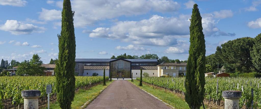 a road in front of a farm with trees at La Fleur de Boüard in Néac