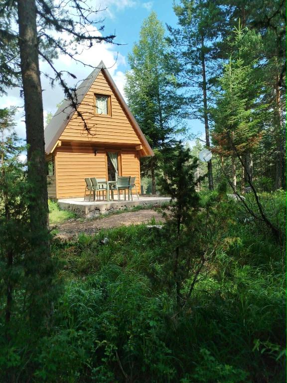 a cabin in the woods with a picnic table in front at Durmitor Forest Retreat in Žabljak