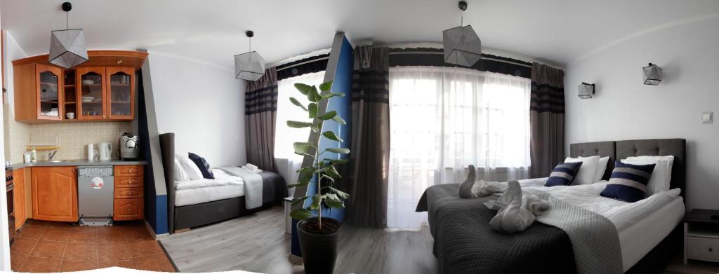Magnetic Studio Odkryta - Housity
