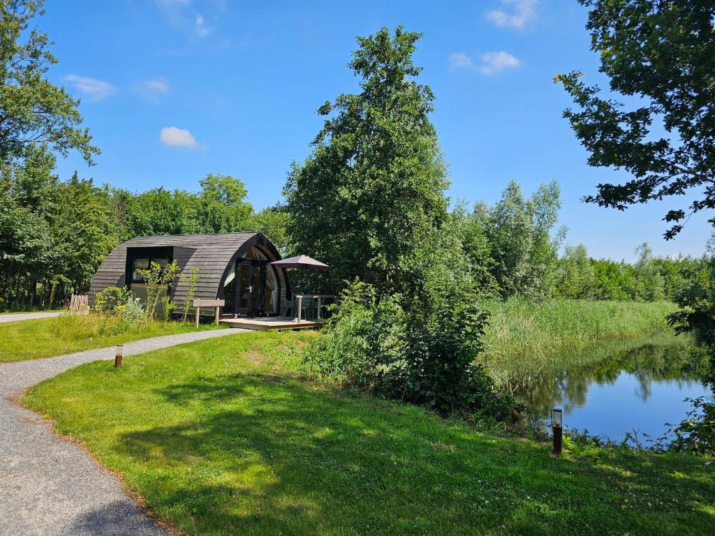 a cabin next to a lake with a tree at Tiny House De Spjocht in Westergeest