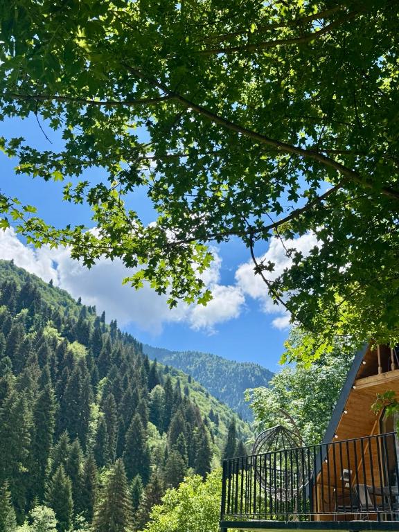 a view of the mountains from a tree at Mtiskari cottage in Utsera in Utsera