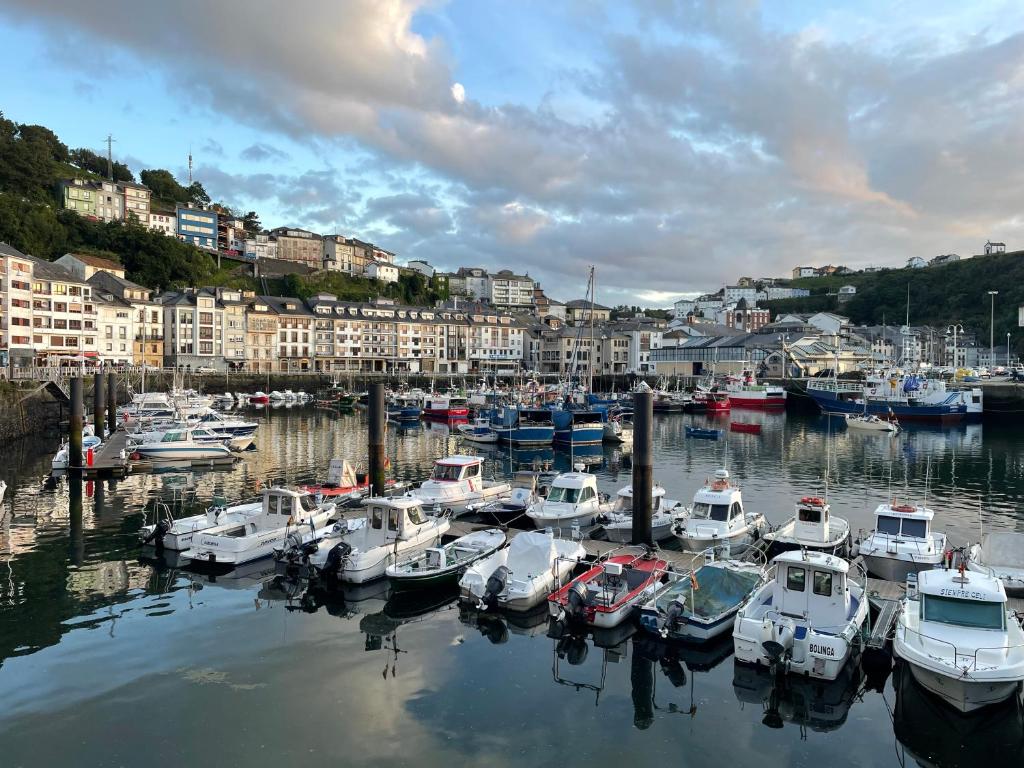 a bunch of boats are docked in a harbor at La Casina del Puerto in Luarca