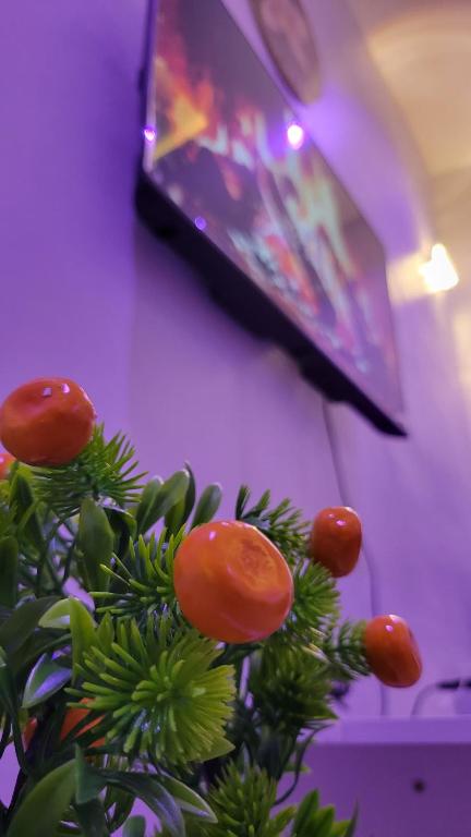 a plant with oranges on it in front of a tv at ELIEL Guesthouse in Parakou