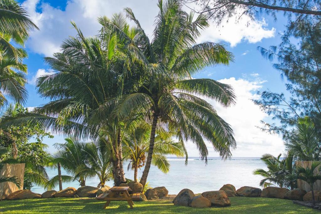 a picnic table under a palm tree on the beach at Pae Moana, Rarotonga in Rarotonga