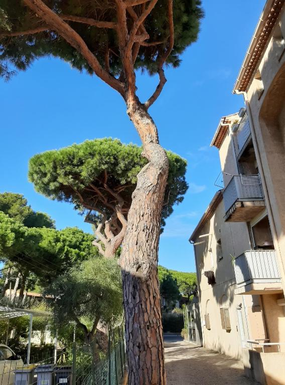 Appartement Confortable à Proximité de la Mer 45 m²